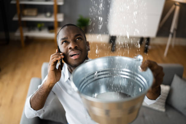 Best Water damage restoration near me  in Mcallen, TX