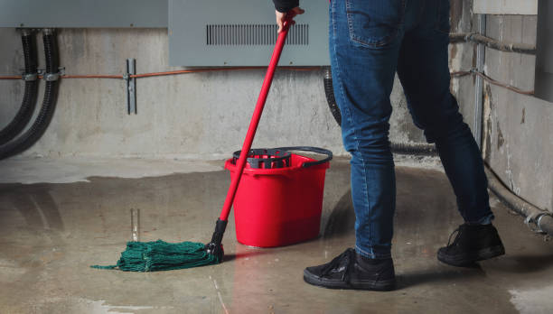 Best Sewage cleanup and water damage restoration  in Mcallen, TX